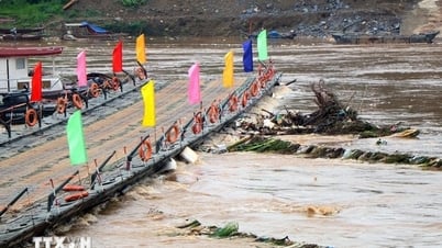 Tạm đóng cầu phao Phong Châu do nước sông Hồng lên cao, chảy siết