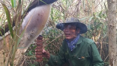 Những đặc sản trứ danh ở Cà Mau khiến du khách khó bỏ qua
