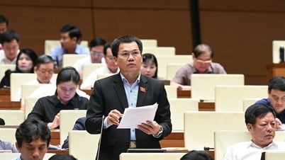 Dak Nong National Assembly Deputy Duong Khac Mai agrees with the specific mechanism and policy for social housing development.