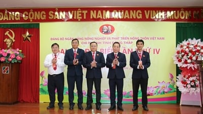 Đảng bộ Agribank Đồng Tháp tổ chức Đại hội đại biểu lần thứ IV, nhiệm kỳ 2025 - 2030