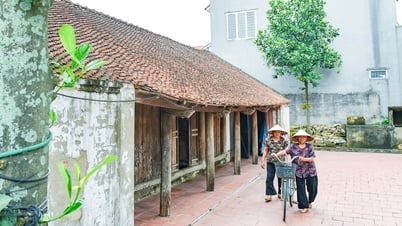 Casas antiguas en el corazón de la ciudad de Cam Giang