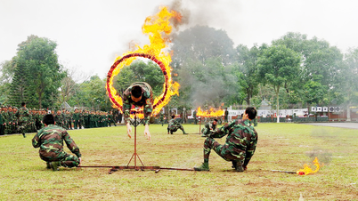 Scouts trainieren auf dem Trainingsgelände