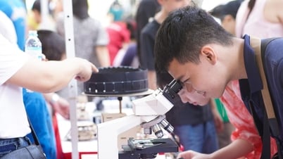 Phó Thủ tướng chỉ đạo tăng nhanh quy mô đào tạo ngành STEM đến năm 2030