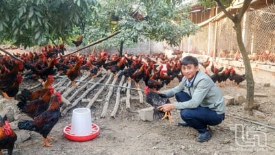 តម្លៃ​ផលិតកម្ម​ពី​សេដ្ឋកិច្ច​កសិកម្ម​ឡើង​ដល់ ១ ៦០០ ពាន់​លាន​ដុង