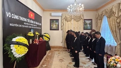 Funeral and condolence book opening ceremony for former President Tran Duc Luong in Hungary
