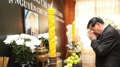 Đại sứ quán Việt Nam tại các nước tổ chức lễ viếng nguyên Chủ tịch nước Trần Đức Lương