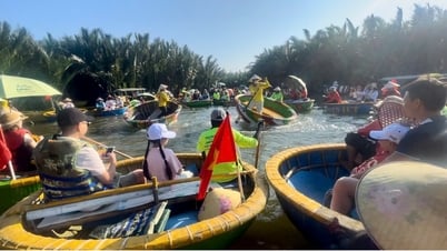 Bay Mau Coconut Forest – ein grünes Reiseziel am Thu Bon River