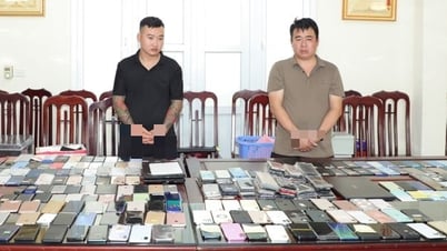 バイディン観光地のタムチュック寺でスリ集団を壊滅させ、携帯電話300台以上を盗む…
