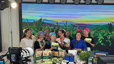 Livestream "Tự hào hàng Việt tỉnh Lai Châu": Mô hình xúc tiến thương mại số cộng hưởng công-tư-cộng đồng