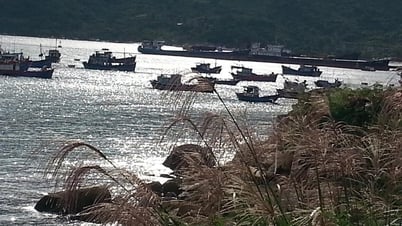 Nghĩa tình giữa hai vùng đất