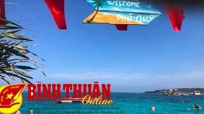Linking destinations and tourism development products and services