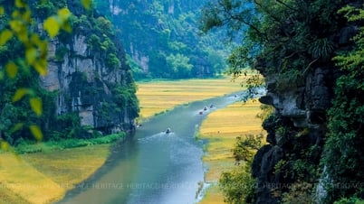流れに身を任せよう