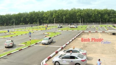 Cải cách, nâng cao chất lượng đào tạo, sát hạch lái xe