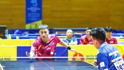 Vietnamesischer Tischtennisverband: Aktive Vorbereitung auf die SEA Games 33