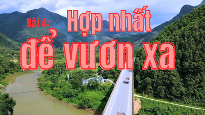 Leçon 4 - L'unité pour aller loin