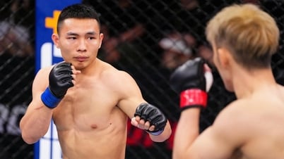 حقق نجيم فان يي فوزًا مهمًا في Road To UFC