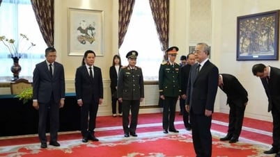 Le vice-président de la Conférence consultative politique du peuple chinois rend visite à l'ancien président Tran Duc Luong
