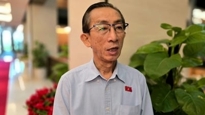 Sáp nhập TP. Hồ Chí Minh: Tái thiết kế chiến lược phát triển vùng Đông Nam Bộ