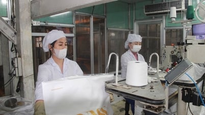 Nghệ An nỗ lực thu ngân sách năm 2025