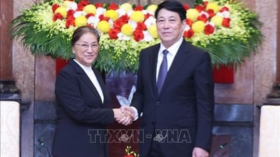 ルオン・クオン大統領がラオス副大統領と会見
