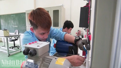 Giải “cơn khát” nhân lực công nghệ cao tại Việt Nam
