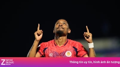 ما هي الفرص المتاحة لـ Cao Pendant Quang Vinh؟