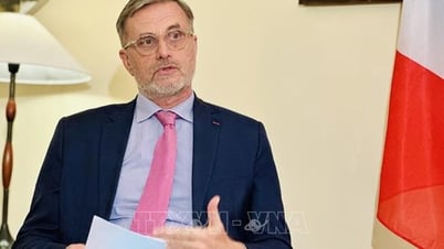 Продолжать подтверждать устойчивое развитие отношений между Францией и Вьетнамом.