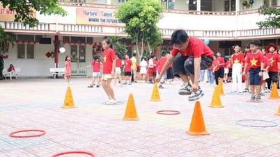 Không học trường tiên tiến, chương trình đặc thù, có phải đăng ký tuyển sinh đợt này?