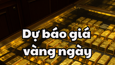 Tin tức, dự báo giá vàng ngày mai 26/5/2025 giá vàng trong nước và thế giới tăng mạnh, cơn sốt vàng mới