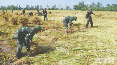 Hau Giang: Learning and following Uncle Ho's teachings through meaningful and practical actions