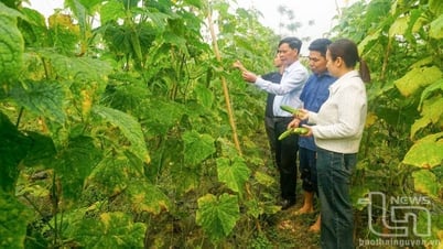 Agricultural Vocational Training: Challenges
