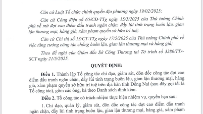 Dong Nai established a working group to prevent and repel smuggling, trade fraud, counterfeit goods, and infringement of intellectual property rights.