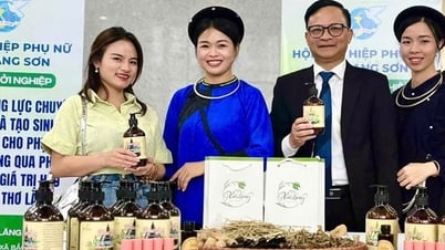 สหภาพสตรีลางซอนสนับสนุนสมาชิกและสตรีมากกว่า 1,400 รายในการเริ่มต้นธุรกิจ