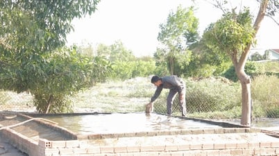 Người dân đồng thuận di dời cơ sở chăn nuôi ra khỏi khu dân cư