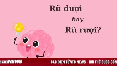 Desafío vietnamita: ¿'Rù dụi' o 'rù rươi'?