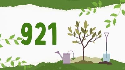 921 - là số hộ gia đình, cá nhân đã được thụ hưởng chính sách khuyến khích phát triển rừng trồng sản xuất cây gỗ lớn, cây bản địa
