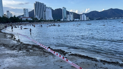 Temporary coastal zoning to protect corals in Hon Chong sea area - Dang Tat