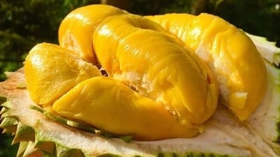 Trung Quốc siết mạnh, giá sầu riêng giảm