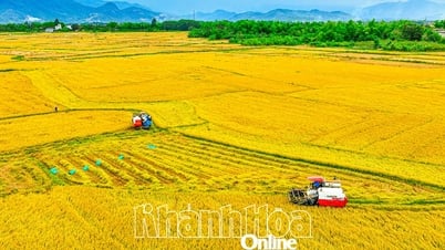 Improve the efficiency of cooperative operations