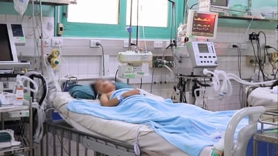 판티엣의 8세 소녀가 놀다가 자동문에 '삼켜졌습니다'.