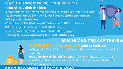 ผู้เข้าร่วมประกันสังคมแบบสมัครใจจะได้รับสิทธิประโยชน์การคลอดบุตร ตามกฎหมายประกันสังคม พ.ศ.2567