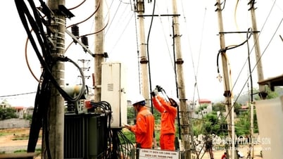 La automatización mejora la eficiencia operativa - Periódico y emisora ​​de radio y televisión Lang Son