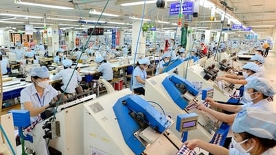 民間企業の発展に対する障壁を完全に排除する必要がある