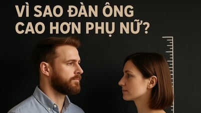 Vì sao đàn ông thường cao hơn phụ nữ: Lý do bất ngờ vừa được phát hiện