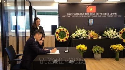 Amigos internacionales lloran la pérdida del expresidente Tran Duc Luong