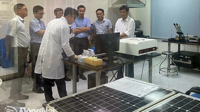 Đặt ‘viên gạch’ đầu tiên về đào tạo nhân lực chuyên sâu cho lĩnh vực công nghệ bán dẫn