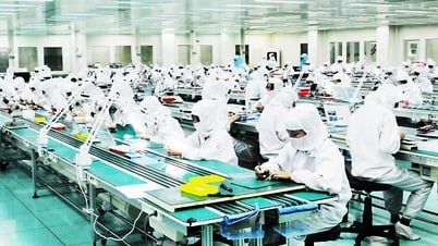 Расшифровка устойчивости Бакзянг - Феномен экономического роста Вьетнама: Часть 1 - Экономический рост постоянно удерживает позицию «чемпиона»