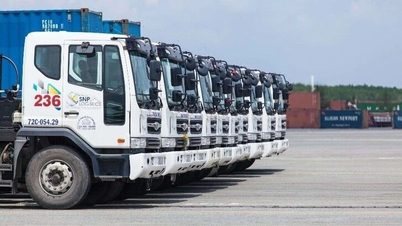 Đấu giá bán hơn 5 triệu cổ phần CTCP Tân Cảng-Đồng Văn Hà Nam