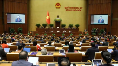 Tiếp tục tập trung xem xét, thảo luận nhiều dự án luật
