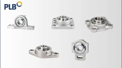 Mua gối đỡ inox chính hãng giá tốt tại PLB Việt Nam